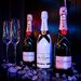Contact bar Elvetia / Romanshorn. Management feminin